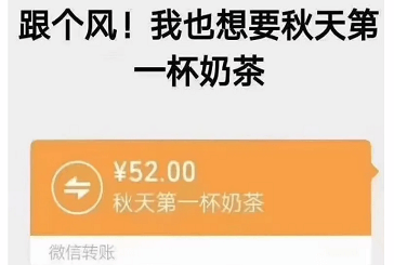 爆火的奶茶梗，你有知道其中的小秘密嗎？