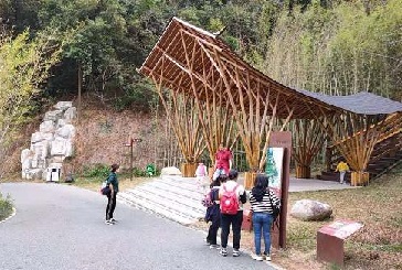 奮斗：陽(yáng)春三月正當時(shí)