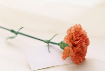 SMT加工廠(chǎng)的婦女節怎么過(guò)？